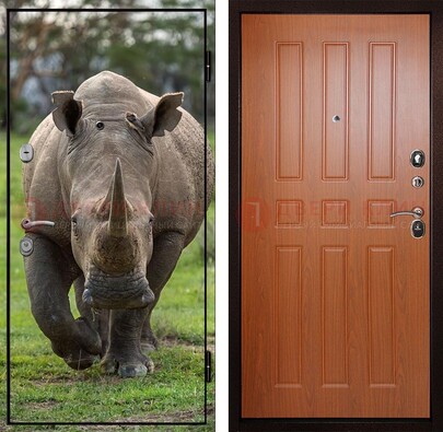 Металлическая дверь с фотопечатью носорога ДФ-31 в Троицке