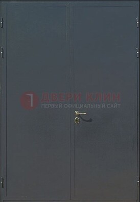 Двухстворчатая техническая дверь ДТ-5 в Троицке